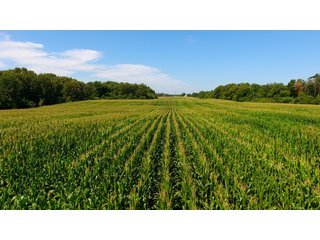 Property photo 10 - LAND AUCTION - 75.2+/- ACRES OFFERED IN 7 TRACTS IN ST. JOSEPH CO., INDIANA